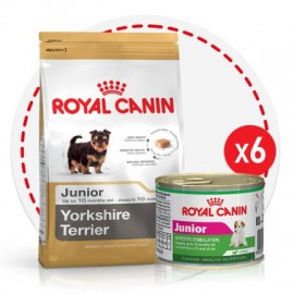 Акция! Yorkshire Junior (Royal Canin для щенков Йоркширского терьера) - При покупке 2-х упаковок по 1,5 кг сухого корма - 6 банок консервов в подарок! - ТЕРА Роял Канин акция для щенков йорков 1,5 кгw5.jpg