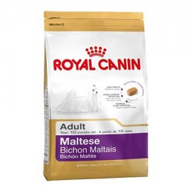 Maltese (Royal Canin для взр. Мальтийской болонки) Maltese (Royal Canin для взр. Мальтийской болонки)