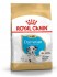 Dalmatian Junior (Royal Canin для щенков далматинов) - Dalmatian Junior (Royal Canin для щенков далматинов)