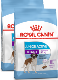 Акция! Giant Junior Active (Royal Canin для энергичных юниоров гигант. пород /8-18 мес./)  - Акция! Giant Junior Active (Royal Canin для энергичных юниоров гигант. пород /8-18 мес./) 