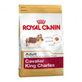 Cavalier King Charles (Royal Canin для взр. Кинг Чарльз Спаниеля) Cavalier King Charles (Royal Canin для взр. Кинг Чарльз Спаниеля)