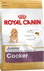 Cocker Junior (Royal Canin для щенков Кокер-Спаниеля)  - 0f9d2b066a01e3a4bcda0a5cfbdc781a.jpg
