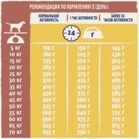 Акция! Дог Чау корм для активных собак (12308567, -) - Акция! Дог Чау корм для активных собак (12308567, -)