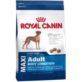 Maxi Adult Body Condition (Роял Канин для взр. собак крупных размеров с энергетическими потребностями) - maxi body.jpg