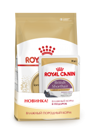 ROYAL CANIN British Shorthair (Роял Канин для британской короткошерстной кошки 2кг +4 пауча) (6790227)  - ROYAL CANIN British Shorthair (Роял Канин для британской короткошерстной кошки 2кг +4 пауча) (6790227) 