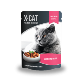 Джина X-CAT пауч для стерилизованных кошек лосось в соусе (89237) - Джина X-CAT пауч для стерилизованных кошек лосось в соусе (89237)