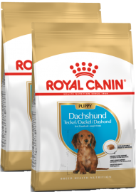 Акция! Dachshund Junior (Royal Canin для щенков Таксы)  - Акция! Dachshund Junior (Royal Canin для щенков Таксы) 