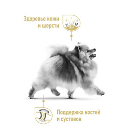 Pomeranian (Royal Canin сухой корм для взрослых собак породы Померанский шпиц старше 8 месяцев) (-, -) - Pomeranian (Royal Canin сухой корм для взрослых собак породы Померанский шпиц старше 8 месяцев) (-, -)