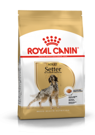 Setter (Royal Canin для сеттеров) - Setter (Royal Canin для сеттеров)