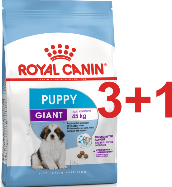 , mini puppy. Корм роял икс молл. Роял канин макси паппи для щенков. Роял канин мини джуниор для собак. Паппи для щенков.