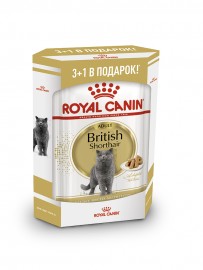 British Shorthair (в соусе) (Роял Канин  для британской короткошерстной кошки, 3+1) (20320034) - British Shorthair (в соусе) (Роял Канин  для британской короткошерстной кошки, 3+1) (20320034)