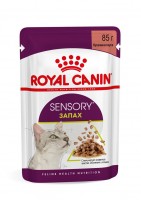 Sensory Smell (в соусе) (Роял Канин для кошек стимулирующий обонятельные рецепторы)
