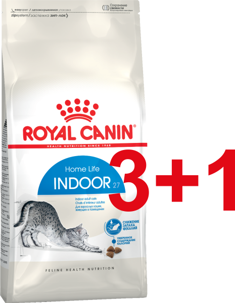 Indoor 27