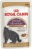 British Shorthair (в соусе) (Роял Канин для британской короткошерстной кошки) - British Shorthair (в соусе) (Роял Канин для британской короткошерстной кошки)