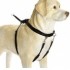 I.P.T.S. Шлейка для собак нейлоновая маленькая черная 22*30см. 16725 - 16725.jpg