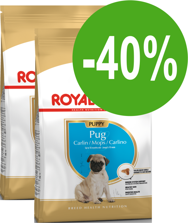 Royal canin pug hotsell junior