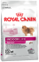 Mini Indoor Adult (Royal Canin для собак малых пород) (879897, - ) - Mini Indoor Adult (Royal Canin для собак малых пород) (879897, - )