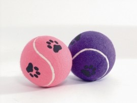 Игрушка для собак "Мячик теннисный с отпечатками лап", в ассорт. 10см 16211 (625596) - Игрушка для собак "Мячик теннисный с отпечатками лап", в ассорт. 10см 16211 (625596)
