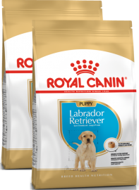 Labrador Retriever Puppy (Royal Canin для щенков Лабрадора) ( - )  - Labrador Retriever Puppy (Royal Canin для щенков Лабрадора) ( - ) 