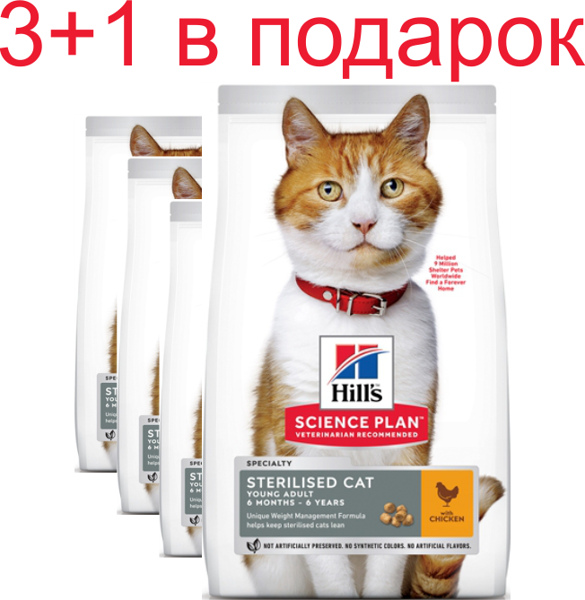 Хиллс сайнс план для кошек