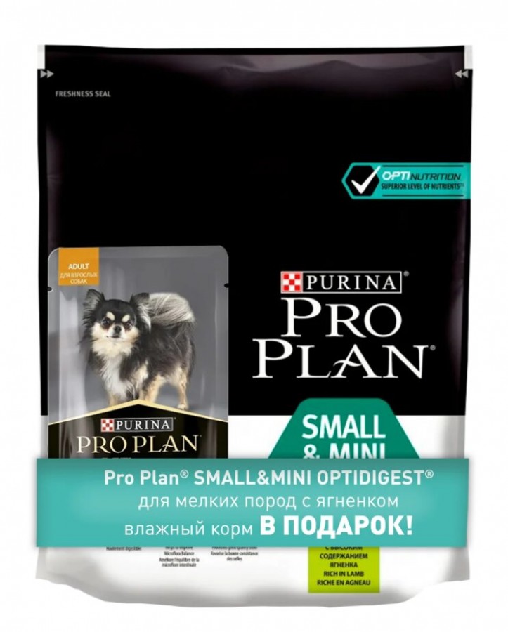 Про план с ягненком для собак