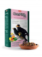 PADOVAN GranPatee fruits Корм для насекомоядных птиц с фруктами (16829)