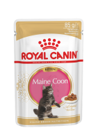 Kitten Maine Coon (в соусе) (Роял Канин для котенка породы мейн-кун)